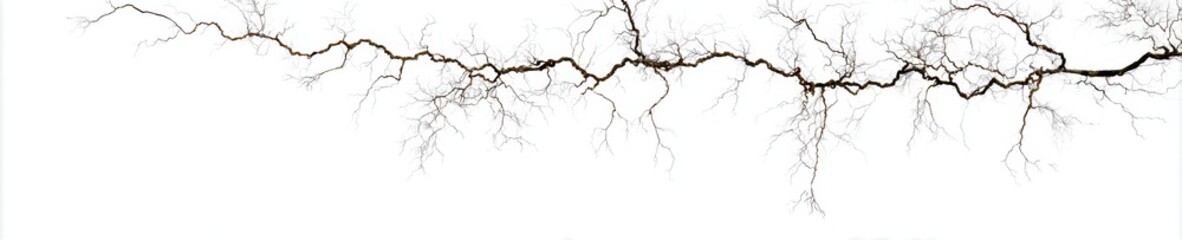 Obraz premium High-Quality Cloudburst Lightning Branching Patterns Modern Scientific and Creative Premium PNG Bundle for Designers and Editors in Advertising and Editorial Use