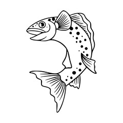 black and white spotted trout drawing