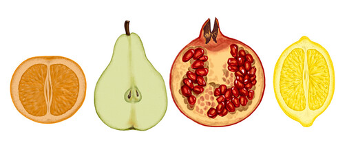 drawing halves of fruits, pear, orange, pomegranate and lemon isolated at white background, hand drawn illustration