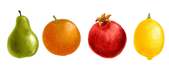 drawing fruits, pear, orange, pomegranate and lemon isolated at white background, hand drawn illustration
