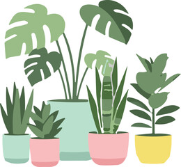 Indoor tropical houseplants in colorful pots, modern botanical decoration, green foliage vector design, home garden leaves, cad drawing flat vector illustration