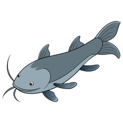 vector illustration of fish