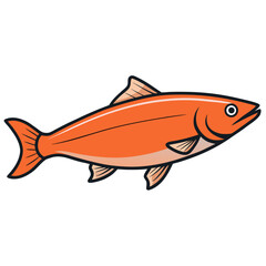 fish on a white background