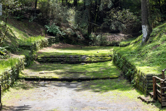 Steps filled with green vegetation of a dam in Ajusco, Mexico.