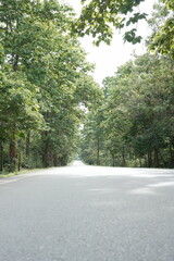 Obraz premium The road winds through a valley, surrounded by towering mountains. Trees line both sides, their green leaves gently swaying, creating a peaceful nature trail amidst stunning scenery.