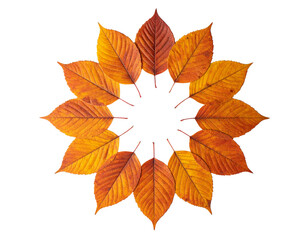 Fototapeta premium Round Tablecloth with Autumn Leaves Design