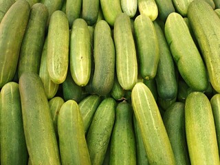 Fresh Cucumbers on Display at Farmers Market