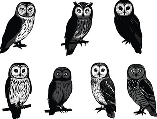 Collection of hand-drawn owl bird illustrations in detailed vector style, perched nocturnal raptors with expressive eyes for wildlife and design.