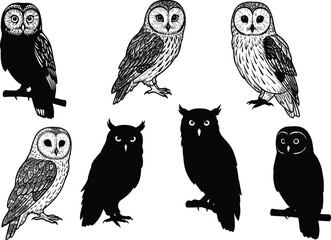 Collection of owl bird silhouettes and detailed illustrations perched on branches, nocturnal wildlife raptors with feathers, talons, wings, and eyes.