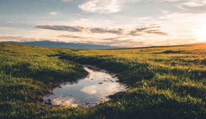 A tranquil meadow at sunset, showcasing a small puddle reflecting the golden sky.