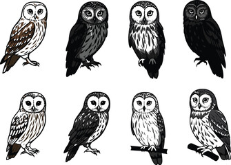 Set of detailed owl bird illustrations with feathers, perched poses, nocturnal wildlife raptors, hand-drawn vector collection for nature and design.