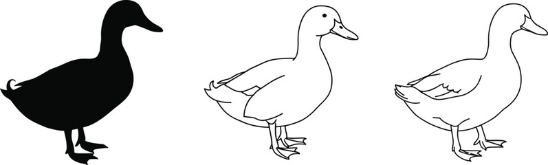 Set of duck illustrations with black silhouette and line drawing styles, vector animal design for wildlife nature artwork isolated on white