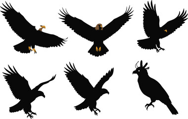 Fototapeta premium Set of eagle and hawk bird silhouettes flying and perched, majestic raptor illustrations showing wingspan, strength, sharp beak, and talons.