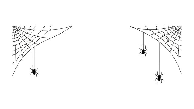 Spooky Cobwebs and Spiders: This image captures the essence of Halloween, featuring spooky cobwebs adorned with hanging spiders, evoking a chilling atmosphere.