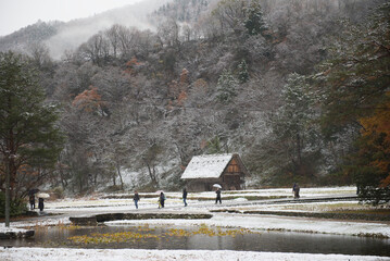 Shirakawa-go, Gifu, Japan, Snow-covered rice fields, experiencing the first snow of the season in the historic village. The iconic Gassho-zukuri farmhouse is visible.