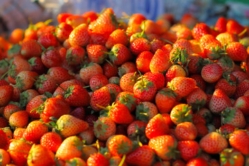 Strawberries at a market in northern Thailand