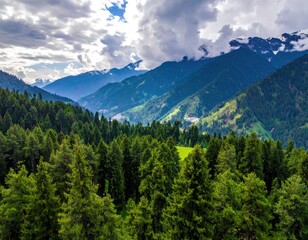 Obraz premium Lush valley nestled amongst towering mountains