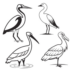 Four stylized line art illustrations of wading birds including herons storks and ibises in various poses on a white background