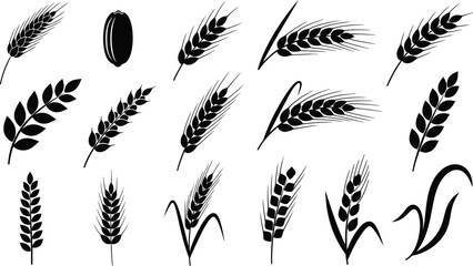 Wheat grain vector set collection agriculture harvest silhouette