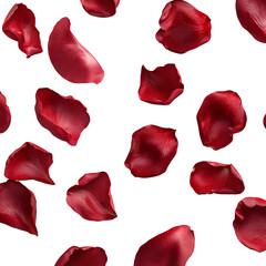 Fototapeta premium High-resolution set of scattered red rose petals with realistic texture and sheen, isolated