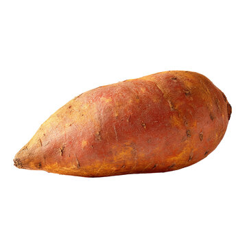 Single sweet potato, reddish-brown skin, oblong shape