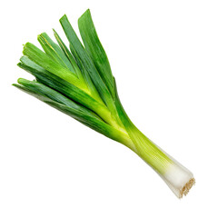 Fototapeta premium Fresh green leek, vibrant leaves (2)