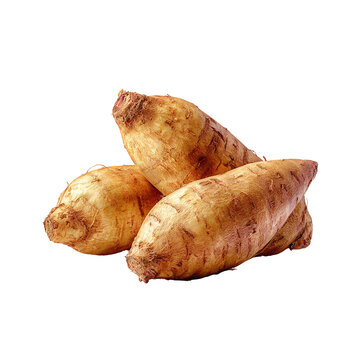 Three light brown, oblong root vegetables