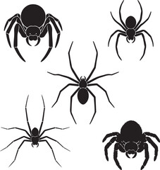Spider Silhouette Collection: A striking collection of diverse spider silhouettes, perfect for projects needing a touch of nature's creepy charm.