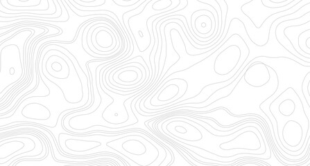 Topographic map contour background pattern. Natural printing illustrations of maps. Grey topographic lines. Texture of lines. pattern shape in organic wood on white and transparent background