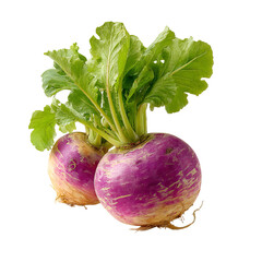 Two purple turnips with green leaves