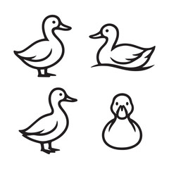 Obraz premium A cartoon vector illustration of a set of mallard ducks and ducklings, a farm animal family, isolated on a white background