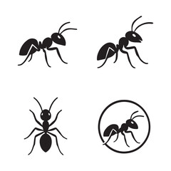 A black pest insect ant with a red head and jaw on a white background, isolated with a leg and antenna