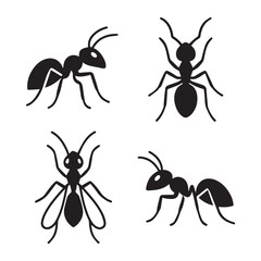 A black pest insect ant with a red head and jaw on a white background, isolated with a leg and antenna