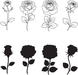 Elegant Rose Sketches: A captivating collection of delicate rose illustrations, showcasing the beauty of the flower in different stages of bloom, capturing the essence of botanical elegance.