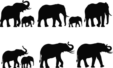 Elephant silhouette set, black, adult and baby pairs, walking, standing, trunk raised, vector, isolated wildlife family posture bundle