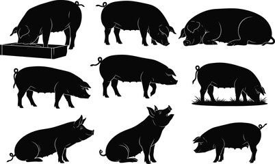 Pig silhouette set, black, eating, walking, lying, grazing, sitting, sniffing, trough feeding, vector, isolated farm animal posture bundle