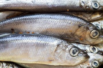 Spicy salted sprat fish. Salted marinated fish close-up