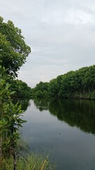 beautiful lake with green trees and clear sky
