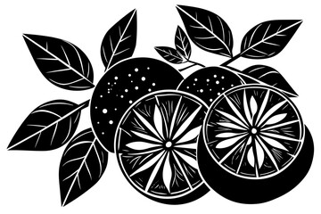 Vector art of oranges and leaves in a woodcut style art