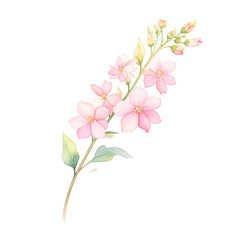 Obraz premium Delicate Blossom Watercolor Isolated On White Background: A sprig of graceful, light-pink blossoms, delicately painted in watercolor, showcasing soft petals and verdant leaves. 