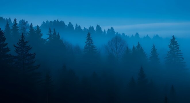 Tranquil misty pine forest at dawn with layered trees and blue hues for nature and landscape themes