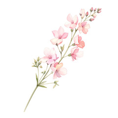 Fototapeta premium Delicate Floral Elegance Isolated On White Background: A captivating close-up of a graceful pink flower stem, painted in watercolor style, showcases soft petals and subtle hues. 