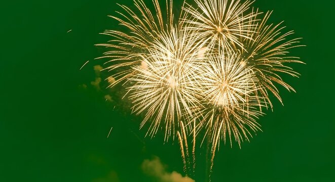 Vibrant fireworks display against a green night sky for celebration and festivity themes