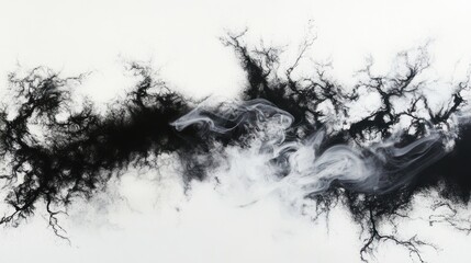Abstract Ink Monochrome Landscape: A Dance of Black and White
