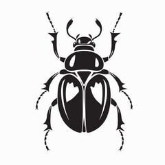 Realistic Ambrosia Beetle Vector Illustration on white background