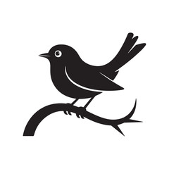 vector illustration of a bird