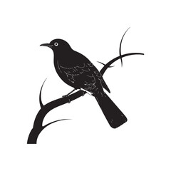 crow on a branch