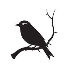 vector illustration of a bird