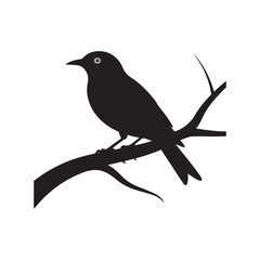 vector illustration of a bird