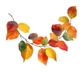 Autumn leaves arrangement nature digital vibrant colors isolated on transparent background